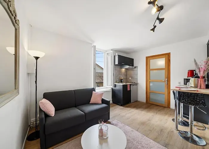 La Vie En Rose, Calme, 5min Du Centre,parking Facile * Beaune (Cote d'Or)